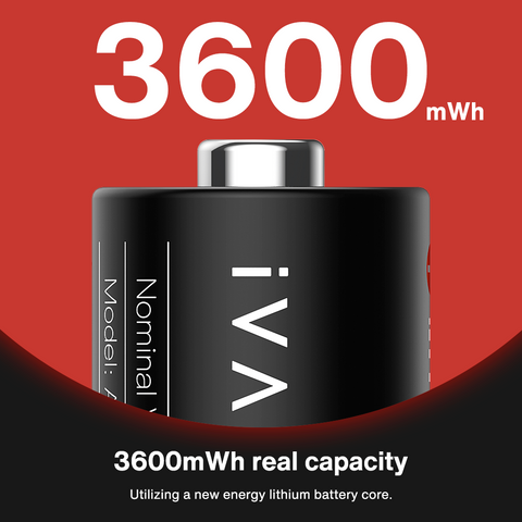 iVANKY Portable Charging Case